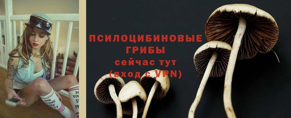 стаф Нягань