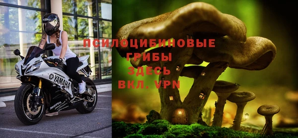 стаф Нягань
