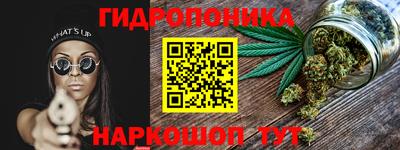 индика Партизанск