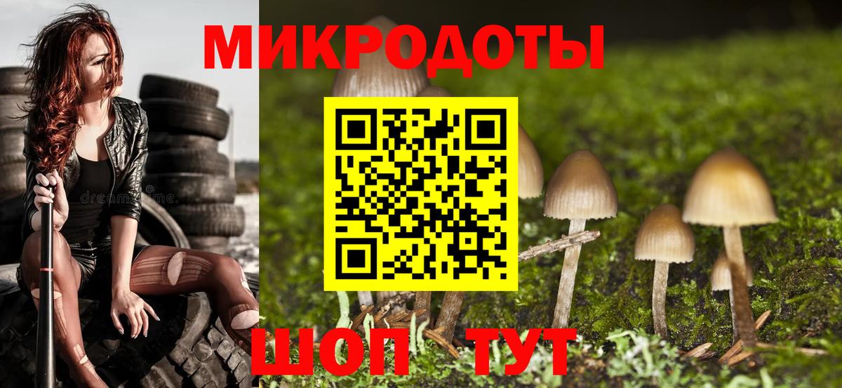 Псилоцибиновые грибы Psilocybe Ханты-Мансийск